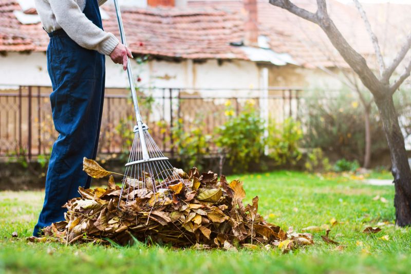 Autumn Yard Maintenance Crew