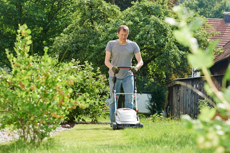 Residential Lawn Care detail