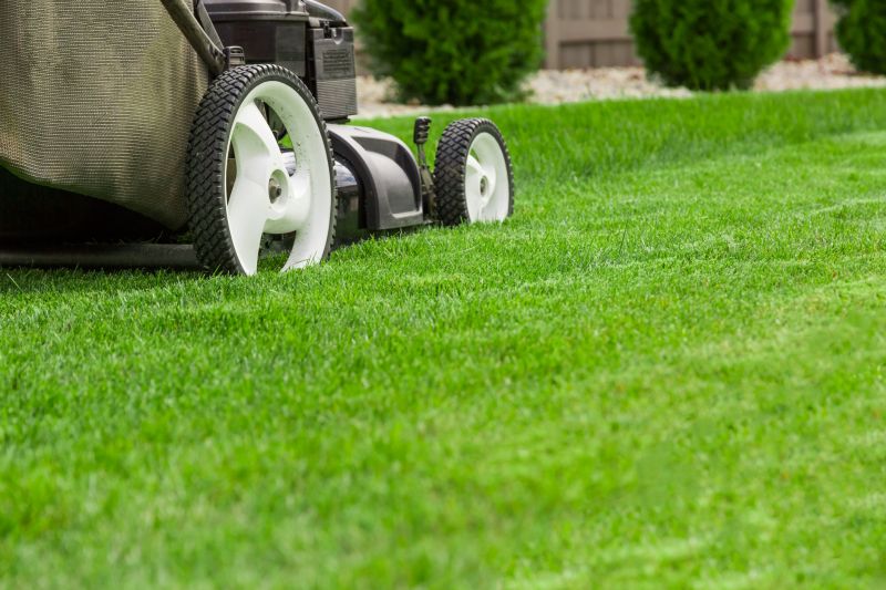 Residential Lawn Mowing detail