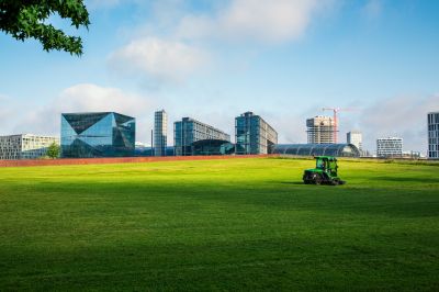 Commercial Lawn Maintenance