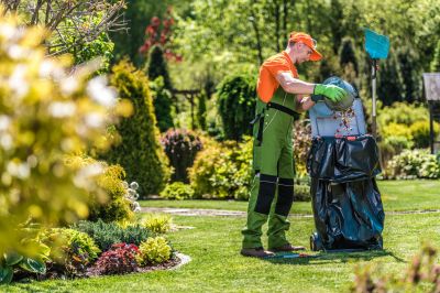 Seasonal Lawn Maintenance