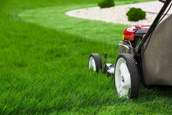 Lawn Cutting Service in Canton