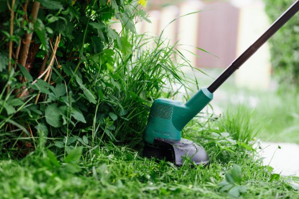 Weed Whacking in Canton