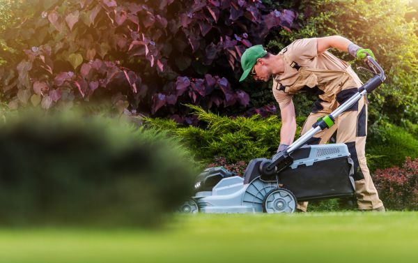 Yard Care Service in Canton