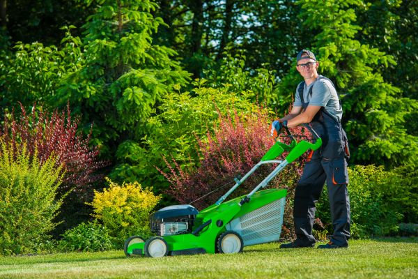 Yard Work Service in Canton