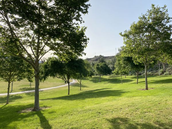 Green Space Maintenance