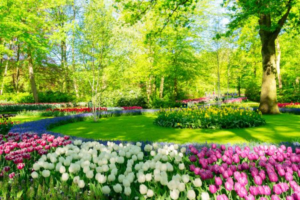 Spring Lawn Care in Canton