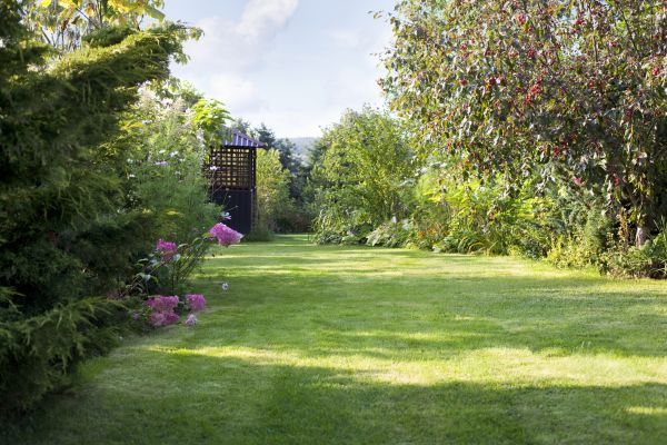Yard Upkeep Service in Canton