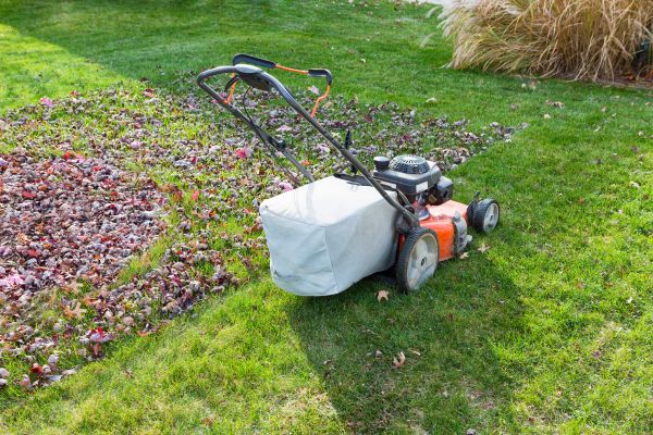 Seasonal Lawn Care in Canton