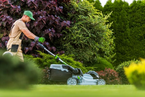 Lawn Management in Canton