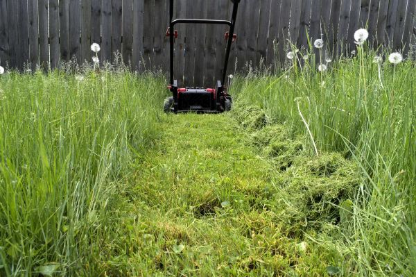 High Grass Mowing in Canton