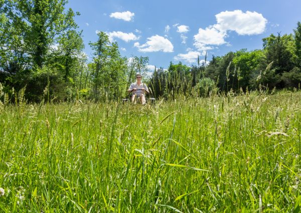 Long Grass Mowing in Canton