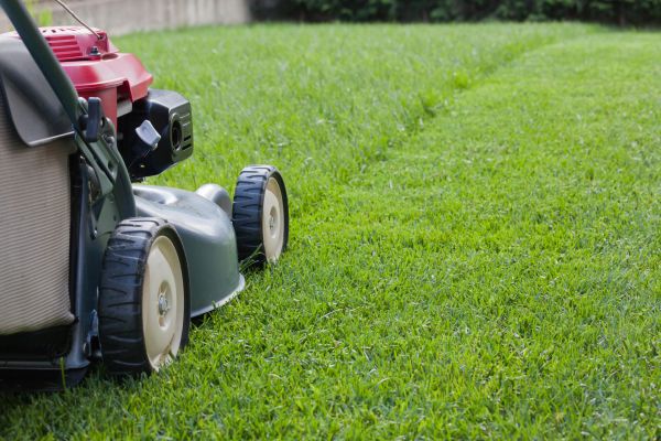 Summer Lawn Care in Canton