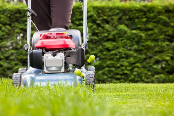 Grass Trimming Service in Canton