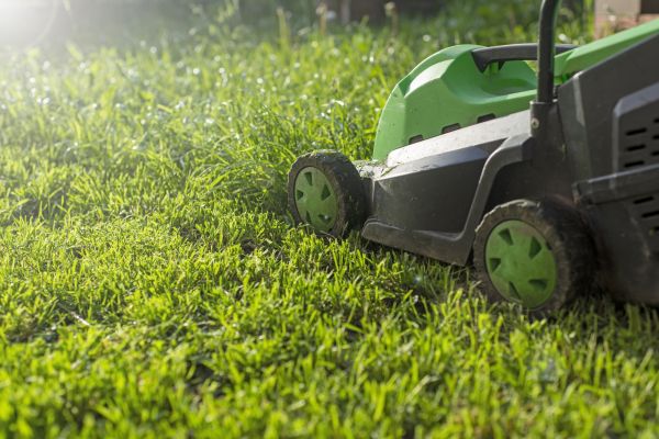 Yard Trimming in Canton