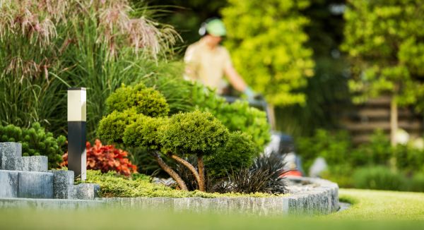 Residential Yard Maintenance in Canton