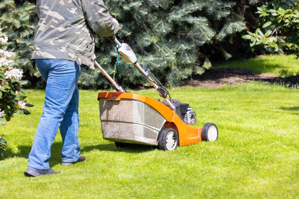Springtime Lawn Care in Canton
