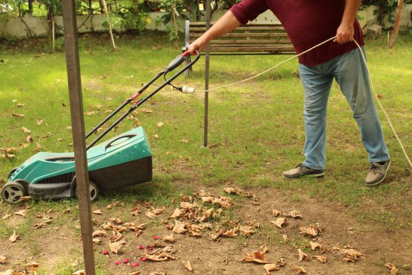 Leaves Mowing in Canton