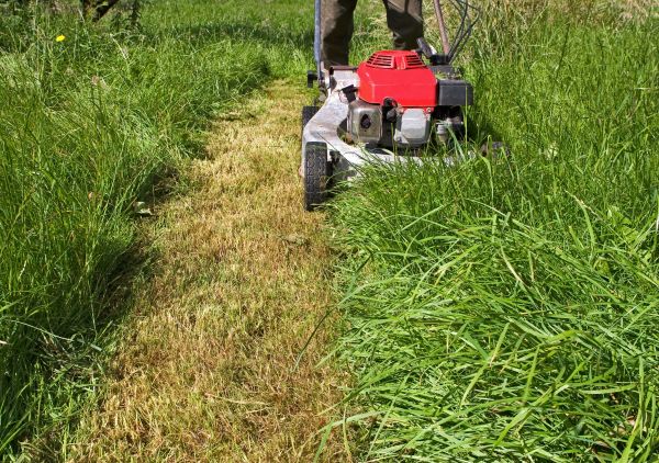 Leaf Mowing in Canton